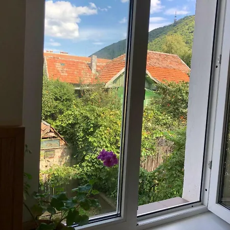 Apartament Schei 2 *