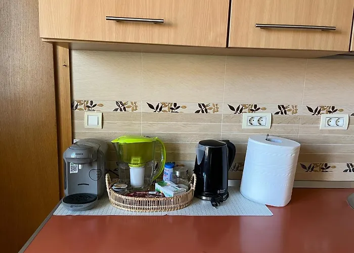 Schei 2 브라쇼브