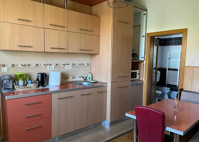 Schei 2 아파트 브라쇼브