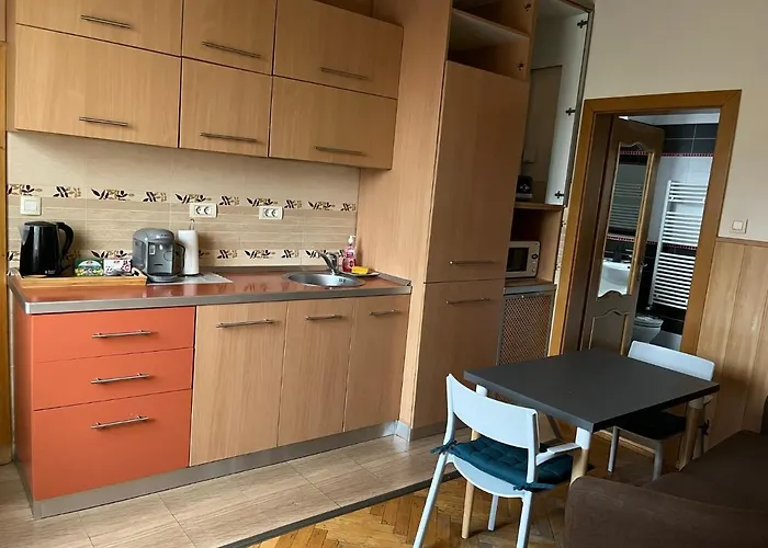 Schei 2 브라쇼브