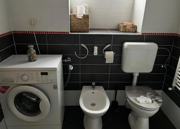 Schei 2 * 브라쇼브