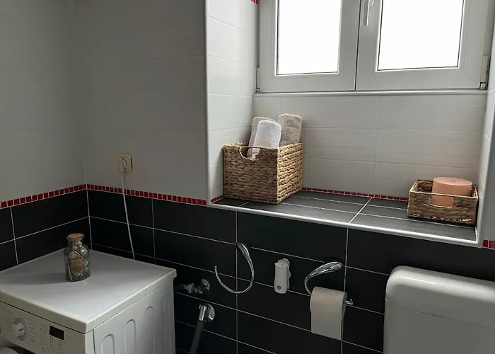 Schei 2 아파트 브라쇼브