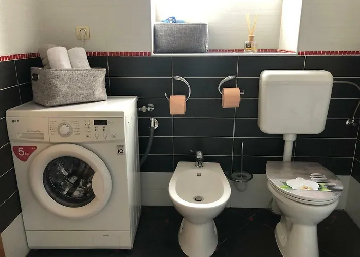 Schei 2 아파트 브라쇼브