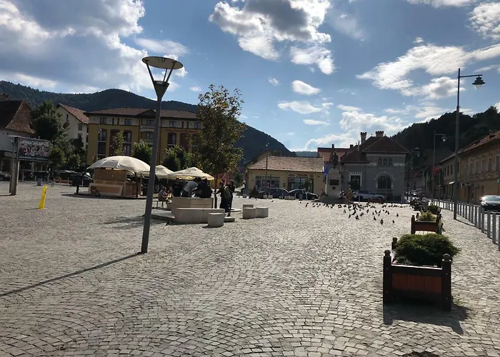 Schei 2 브라쇼브