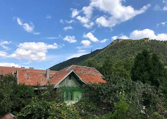 아파트 Schei 2 브라쇼브