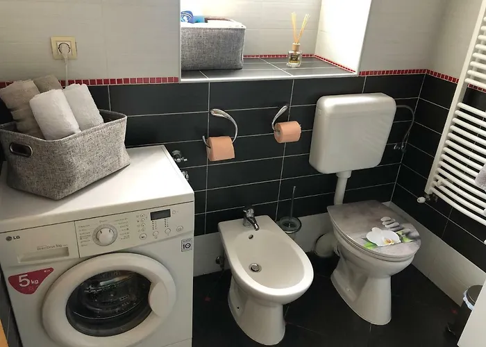 Schei 2 아파트 브라쇼브